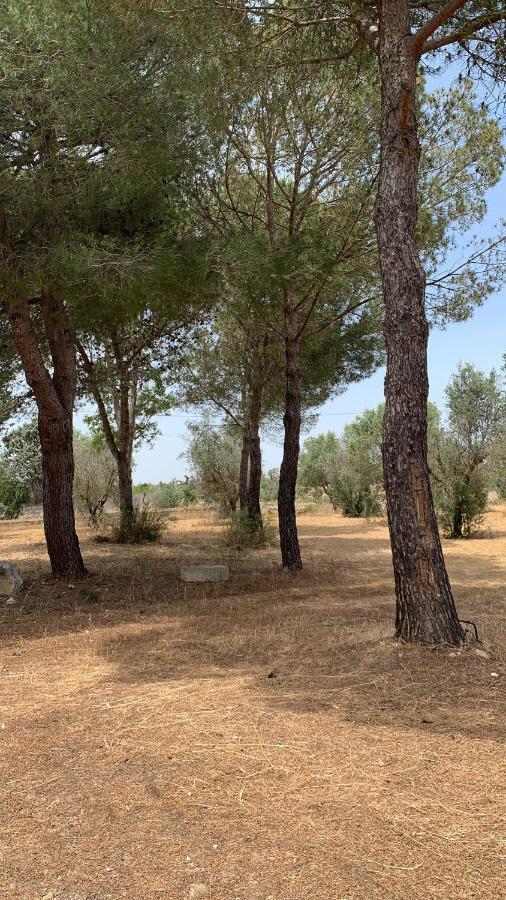 Tenuta Sidore Cursi Εξωτερικό φωτογραφία